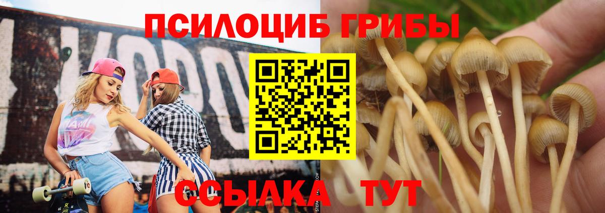 Псилоцибиновые грибы Cubensis Маркс